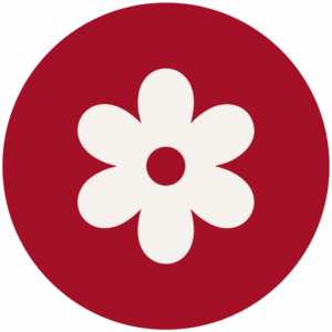 Blume Frühling
